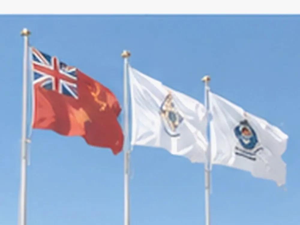 Flag State — Service Landing Hero