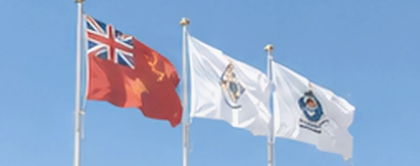 Flag State — Service Landing Hero