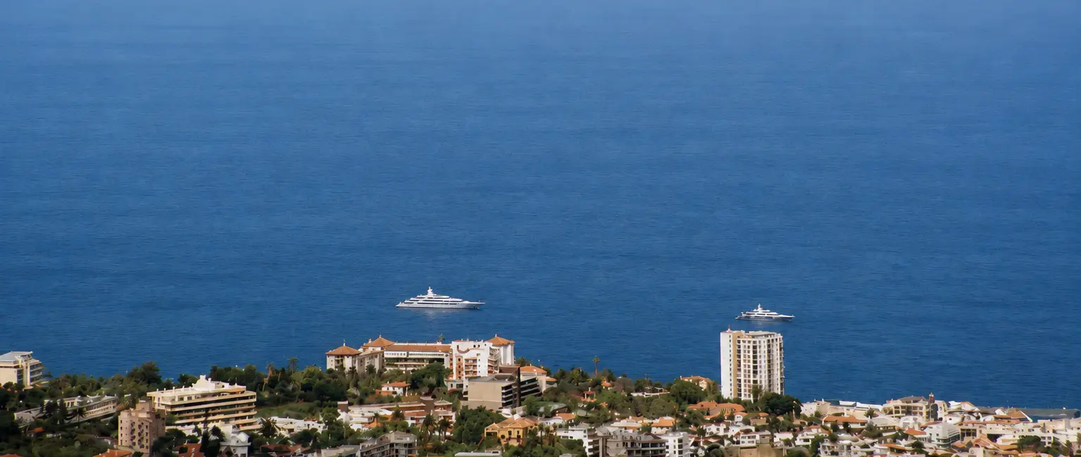 Canary Island Oratovo
