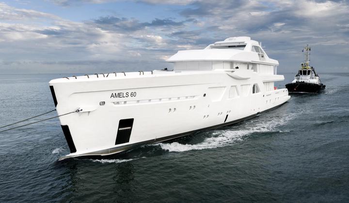 Amels 6010