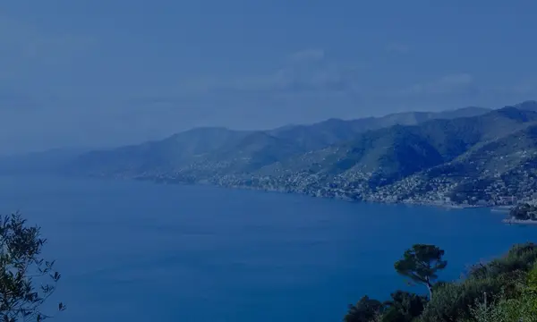 Amico & Co – Genoa superyacht refit yard