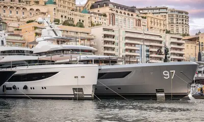 Amico & Co Blue Wake Award official image 2026