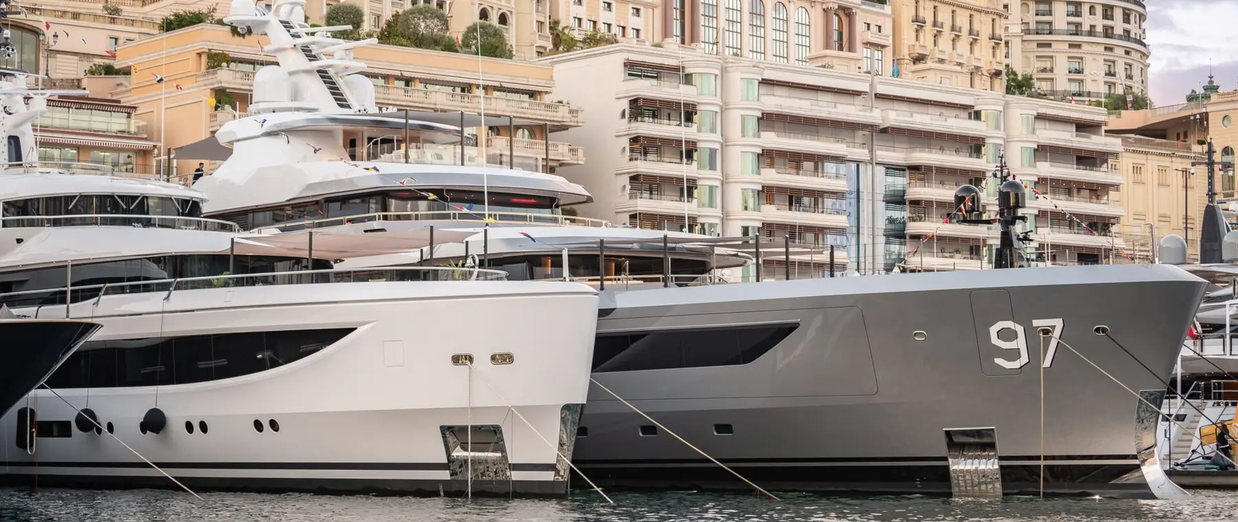 Amico & Co Blue Wake Award official image 2026