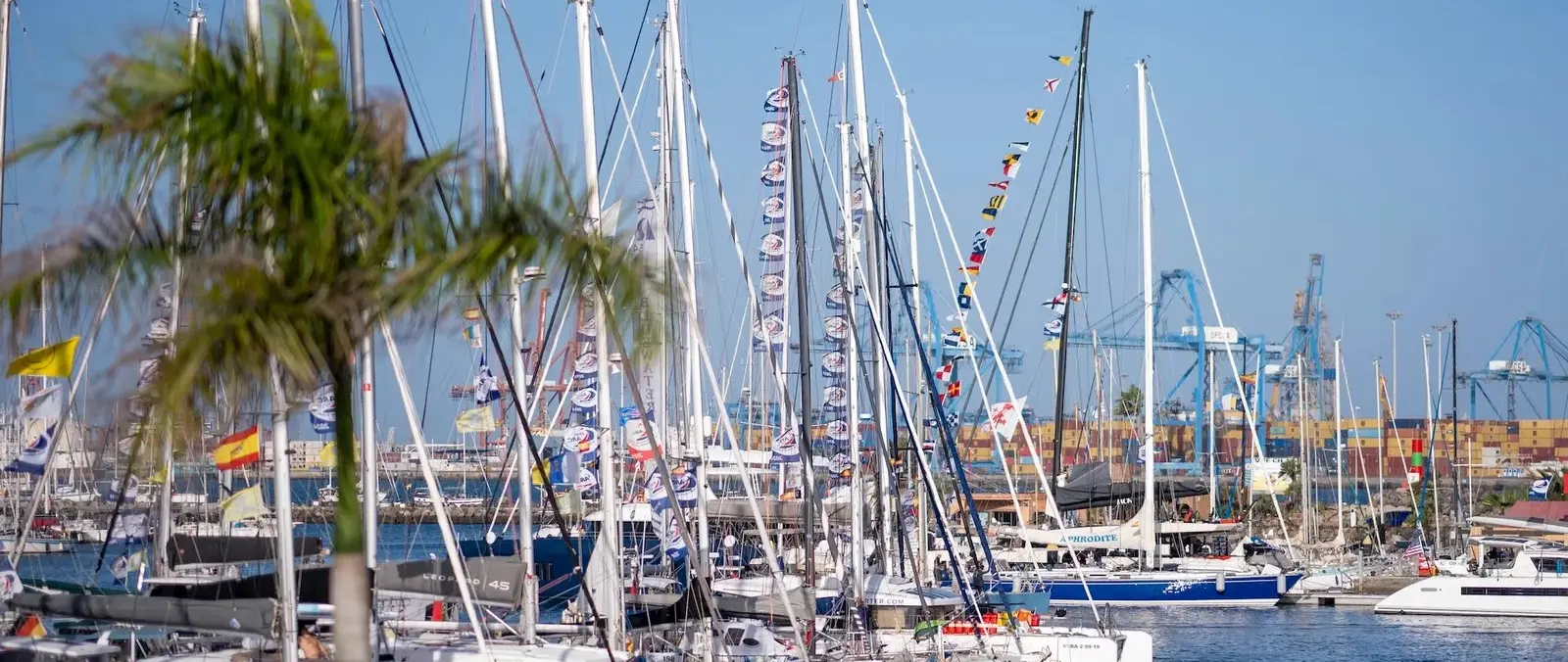 Ancasta Rigging Specialists Expand Technical Support for Atlantic Crews — source image