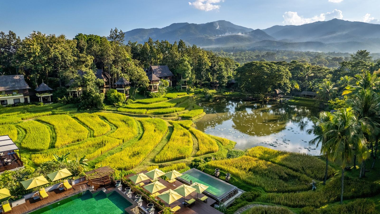 Chiang Mai Resort Invites Guests into Working Rice Fields — official Four Seasons Resort Chiang Mai image