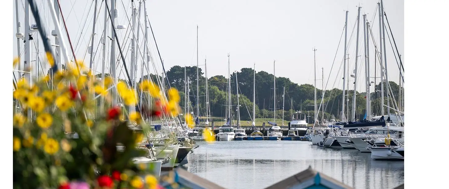 Lymington Webcam Adds Live Western Solent View for Skippers — official British Marine / original company release image