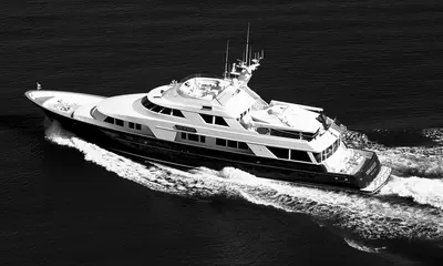 Life Of Riley - Delta Marine official image