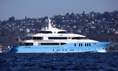 Silver Shalis - Delta Marine official image