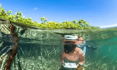 32m DIONE SUN Helps Map 700 Acres of Bahamas Reef With SeaKeepers — source image