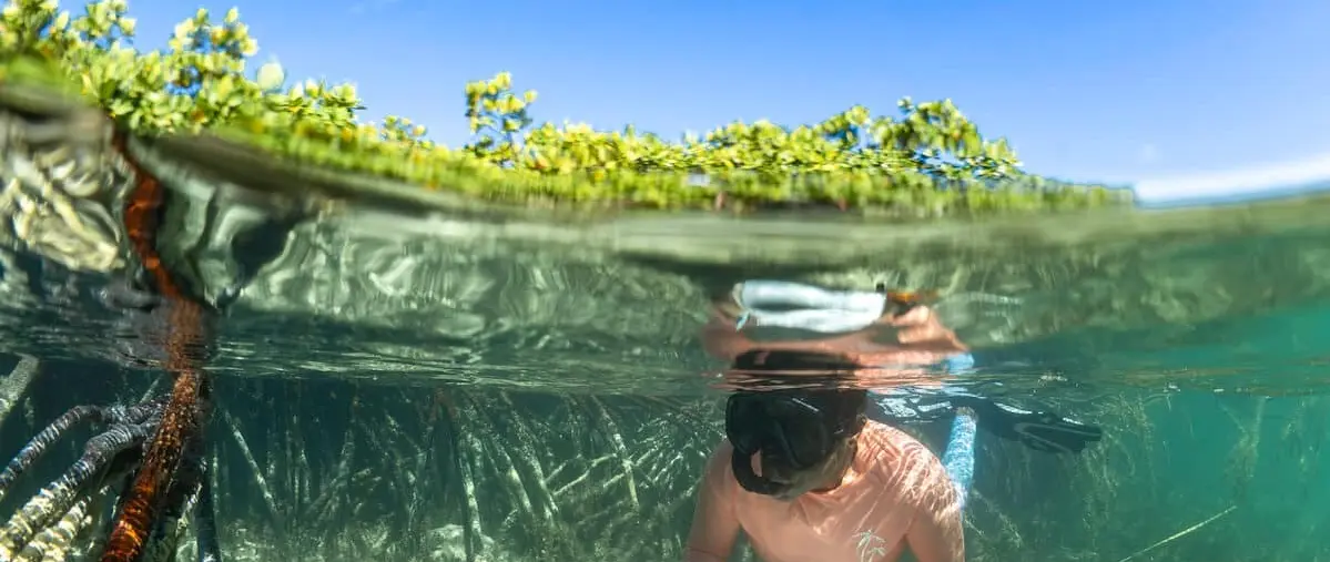 32m DIONE SUN Helps Map 700 Acres of Bahamas Reef With SeaKeepers — source image