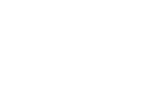 Dolphin Sails logo
