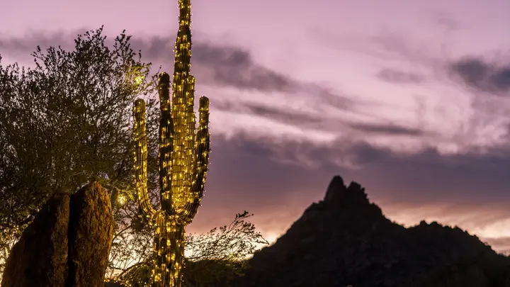 Official Four Seasons Scottsdale festive season 2026 image