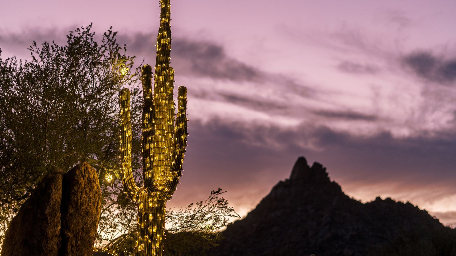 Official Four Seasons Scottsdale festive season 2026 image