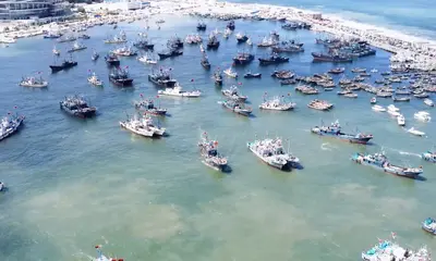 Gard Finds Half of 65 Fishing-Vessel Collisions in China — official source image