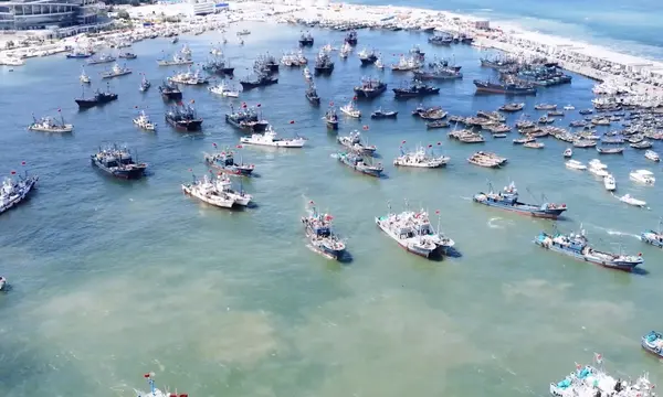 Gard Finds Half of 65 Fishing-Vessel Collisions in China — official source image