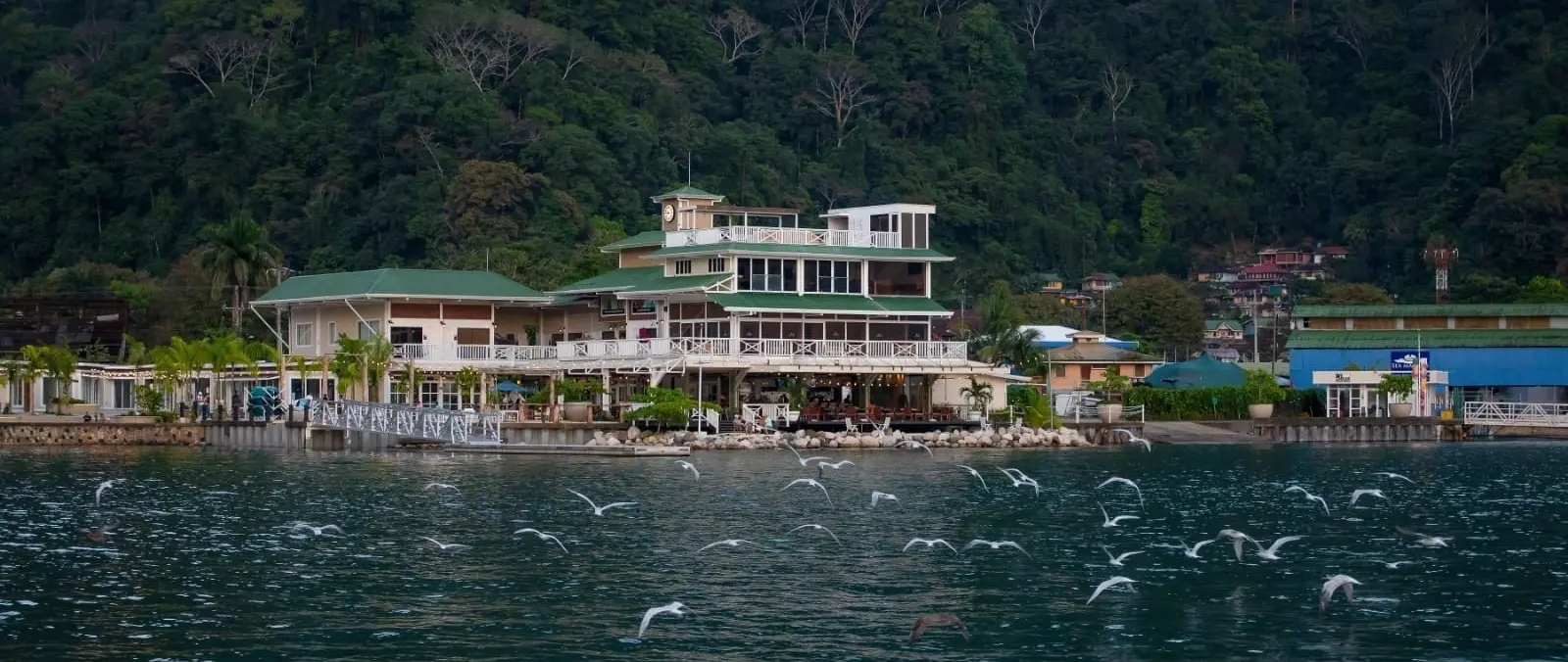 Golfito Marina Plans Customs and Port Services for Yachts — source image