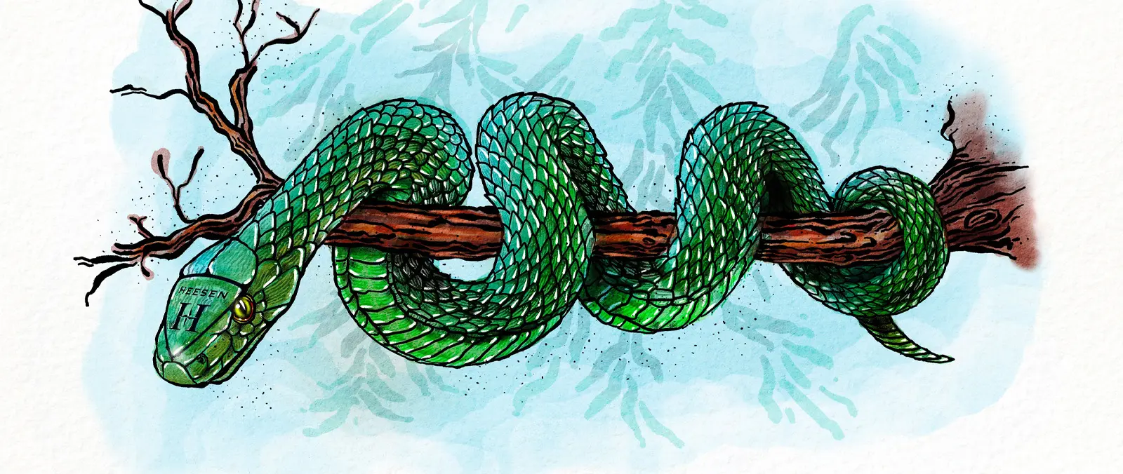 2025: The Year Of The Wood Snake! press image