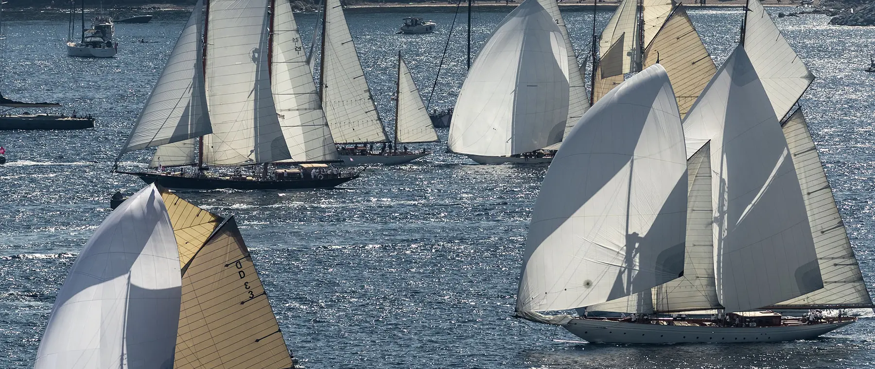 Les Voiles news - the-magic-of-les-voiles-omnipresent