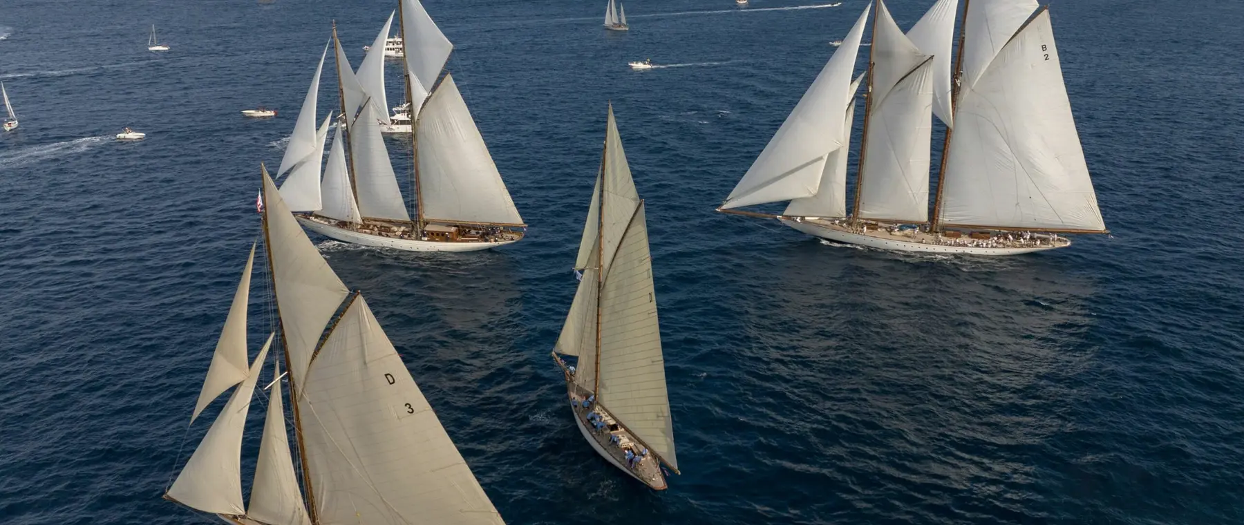 Les Voiles news - 25-years-a-sense-of-celebration-and-eclecticism