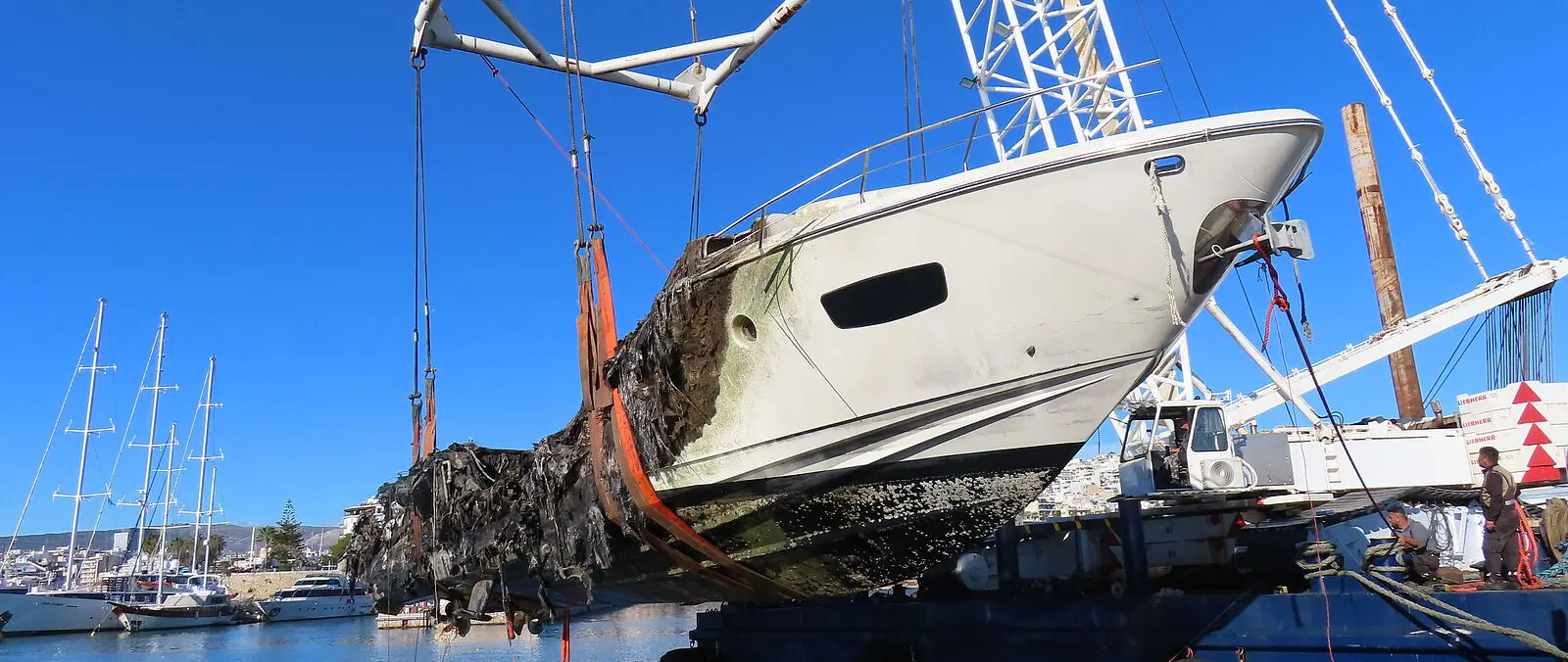 Pantaenius Marina Zea total-loss case official image 2026