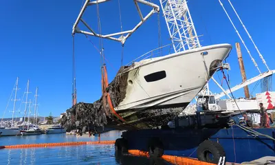 Pantaenius Marina Zea total-loss case official image 2026