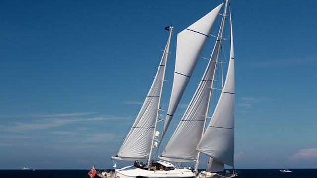 Belle Brise