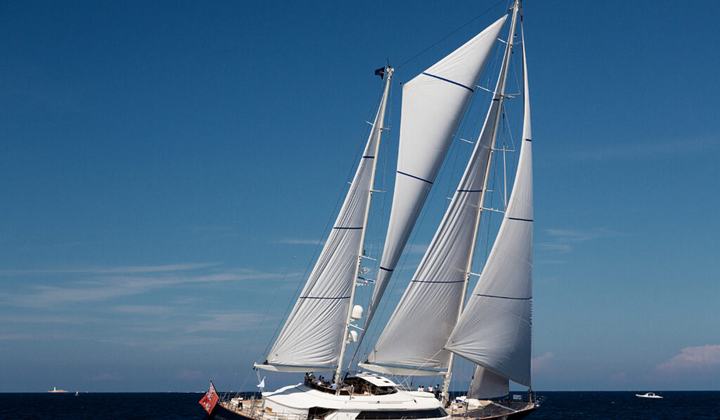 Belle Brise