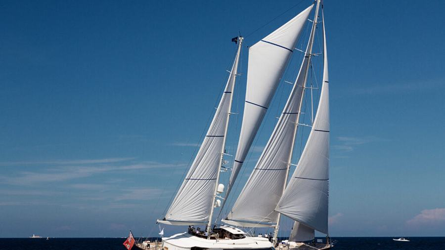 Belle Brise