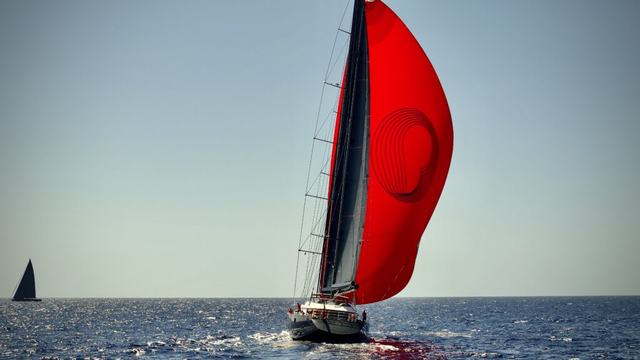 Panthalassa