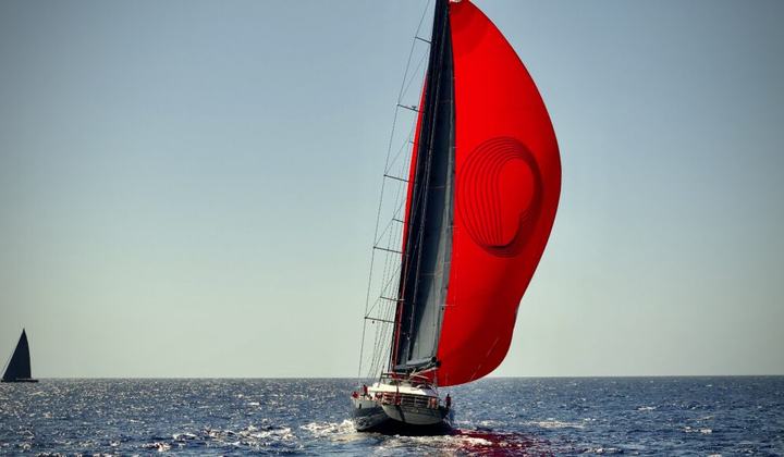 Panthalassa