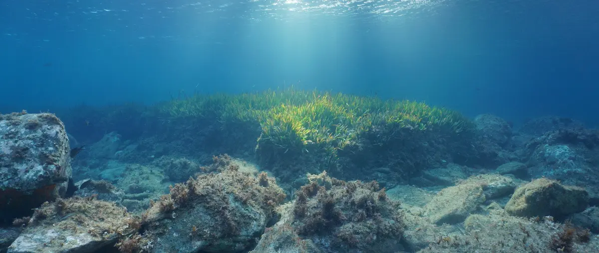 Raymarine Adds 45,000 Marine Protected Areas to LightHouse Charts — verified source image