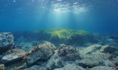 Raymarine Adds 45,000 Marine Protected Areas to LightHouse Charts — verified source image