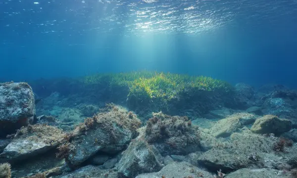 Raymarine Adds 45,000 Marine Protected Areas to LightHouse Charts — verified source image