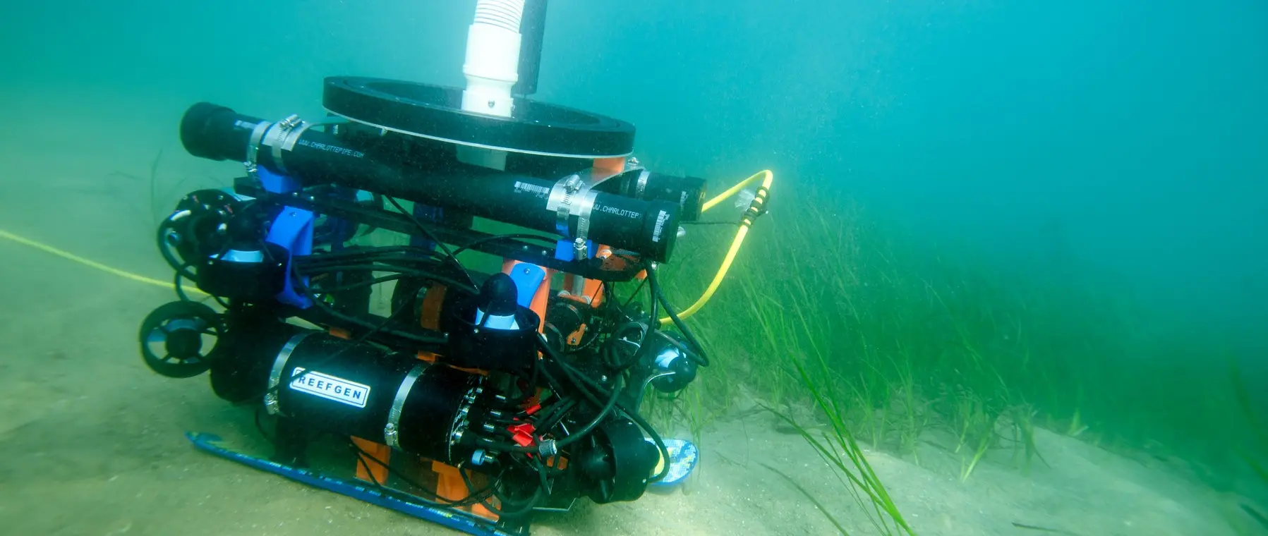 Reefgen Grasshopper Robot Planned for 2027 Posidonia Trial — source image