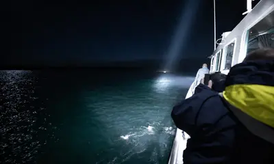 SEA.AI Sentry and Carlisle & Finch SmartVIEW searchlight integration