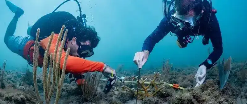 SeaKeepers Founders 2026 to Honour Yacht-Backed Ocean Research — source image