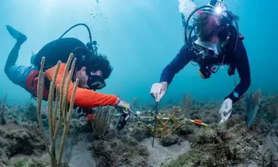SeaKeepers Founders 2026 to Honour Yacht-Backed Ocean Research — source image