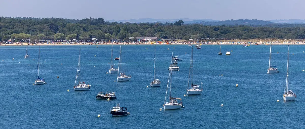 Studland Bay Eco-Moorings Linked to 93.6% Reduction in Seagrass Scars — source image