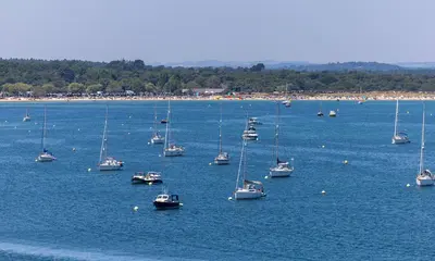 Studland Bay Eco-Moorings Linked to 93.6% Reduction in Seagrass Scars — source image
