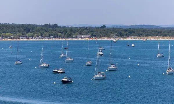 Studland Bay Eco-Moorings Linked to 93.6% Reduction in Seagrass Scars — source image