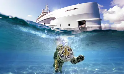 2022 the year of the Water Tiger: what’s in store for Heesen press image