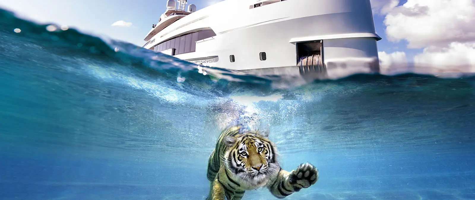 2022 the year of the Water Tiger: what’s in store for Heesen press image